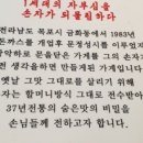 맛나돈까스 이미지