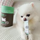 펫# | 강아지슬개골영양제 피키펫 후기