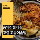 제주 이교동 일제군사시설 | 제주 서귀포 가볼만한곳 송악산 둘레길 볼거리