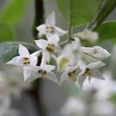 찬우물로 이미지