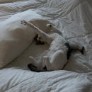 홍주방 동의대점 이미지