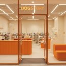 남지애견샵 이미지