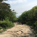 약수터촌국수 | 초보자 금정산 등산코스 후기 Part 2 :: 원효봉-금정산성 북문-북문국수