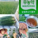 해랑팜