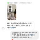 또 들어왔니 ?