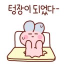 문라이트하우스