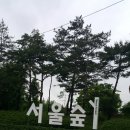 비오는날 서울숲 트래킹.1 이미지