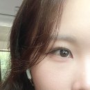 다교(DAKYO)