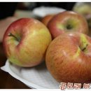 김제 용인농원 이미지