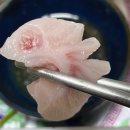 방어 원동 이미지