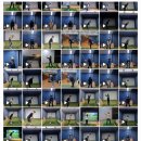 뱅뱅스크린골프 이미지