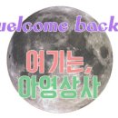 진상사 이미지