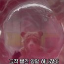 모닝김밥 이미지