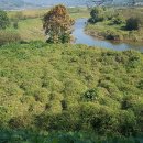 평사리공원3 이미지