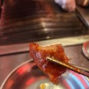 혼디가든 이미지