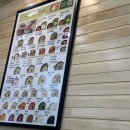 본죽비빔밥 웅천점 이미지