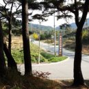 양산동굴공룡박물관 이미지