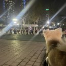 뺑드르뱅&커피칸타빌레 이미지
