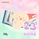 엄명* | [임신 23주차] 갑작스러운 임당검사 + 정밀초음파 후기