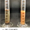 210077 네이버블로그