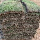 경안산소 이미지