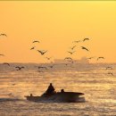 일출로3 이미지