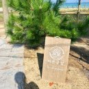 창리서로 | 속초 양양 놀거리 아이랑 체험 북분리해수욕장 조개 모빌 공방 씨온