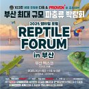 렙타일숲