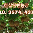 한실농장 이미지