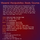 2024년 8월 서울.경기 Visceral Manipulation Basic Course 안내 이미지