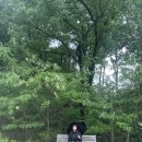 서울 근교 캠핑장 양주 ‘선녀와 나무꾼 캠핑장’