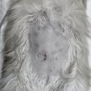 메리 동물병원 이미지