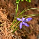 괴곡리 마을회관 이미지