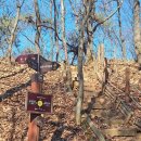 누비길3구간 이미지