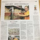 모리가나(주) 이미지