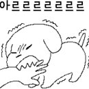 도꾸살롱 네이버블로그