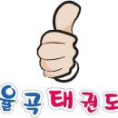 김천 율곡 태권도장 이미지