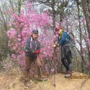 양지약수터 이미지