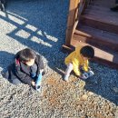 다백농장 이미지