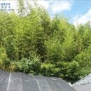 곡성-229 이미지