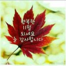 언제나,예쁘다 이미지