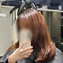 연남동 홍대미용실 &#39;디어모아&#39; 염색 잘하는 곳 솔직 후기, 추천