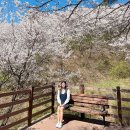 굿푸드마켓연수점 | 농다리 현재 축제중! 벚꽃 명소 , 출렁다리 엄마랑 여행 추천❤️ 충북 진천 가볼만한곳 초평저수지 주차장
