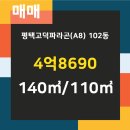 파라곤킹공인중개사사무소 이미지