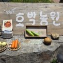 공원앞 호박농원 이미지