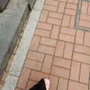 NR-22[소성로]-하-1 | 일시적 가짜코의 하루하루
