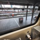 독일약국 앞 | 유럽여행 DAY2. 독일 하이델베르크 당일치기(feat. 약학박물관, LAMY)