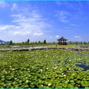 삼락생태공원 이미지