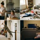 위드펫종합동물병원 이미지