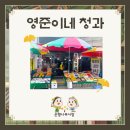 영준이네청과